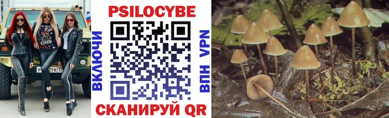 где найти наркотики  Верхний Уфалей  Галлюциногенные грибы Magic Shrooms 